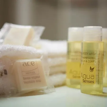 Ace Angers Hotel Saint-Barthelemy-d'Anjou