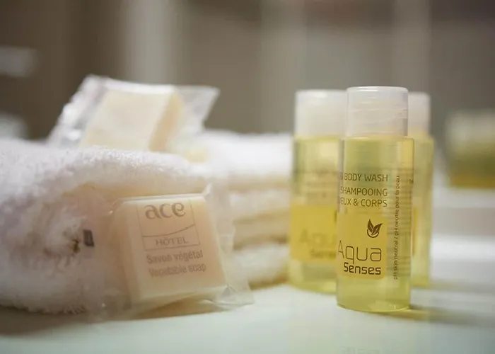 Ace Angers Hotel Saint-Barthelemy-d'Anjou